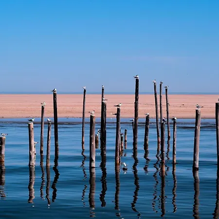 アパート Haus-hus-an-de-diek-whg-01